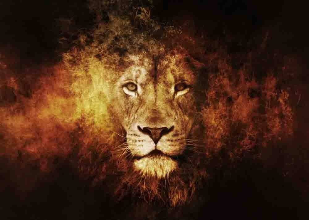 Wild Essence תמונה 73